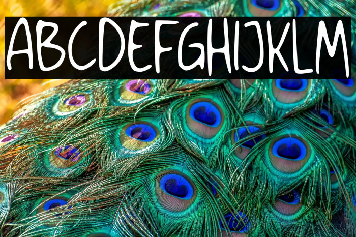 Windy Monday GT Demo Example 1