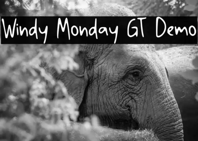 Windy Monday GT Demo Font examples