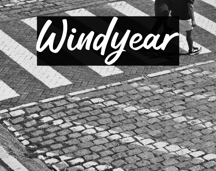 Windyear Example 1