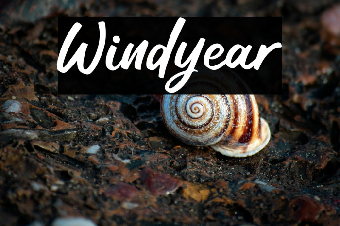 Windyear Example 2