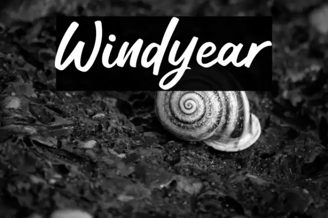 Windyear Font examples