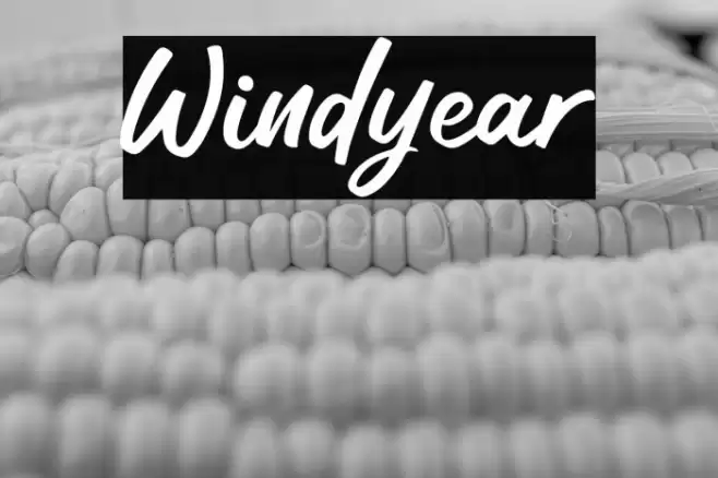 Windyear Font examples
