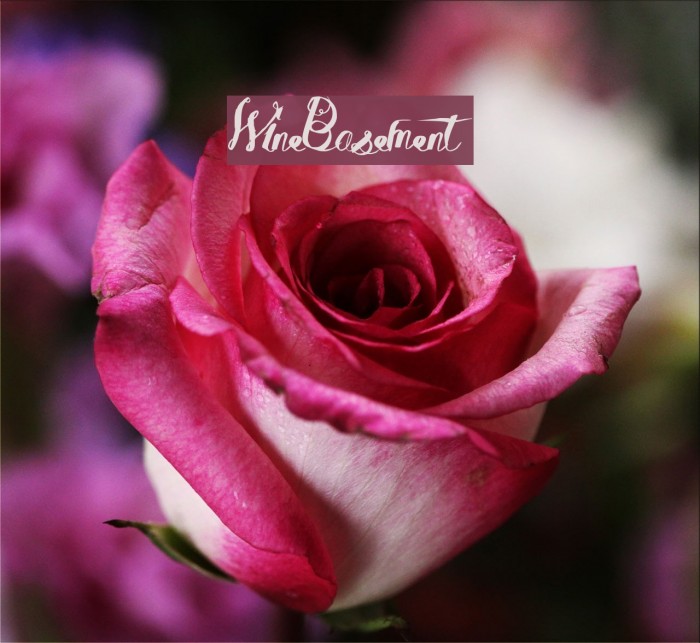 WineBasement Font examples