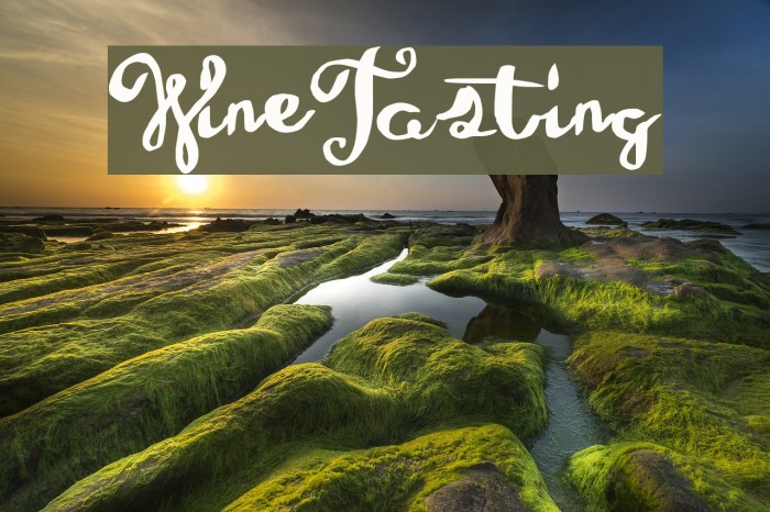 WineTasting Font examples