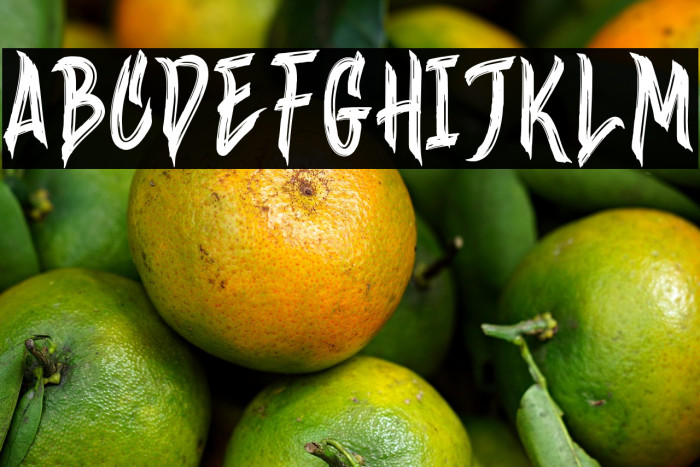 Wineer Brussh Example 1