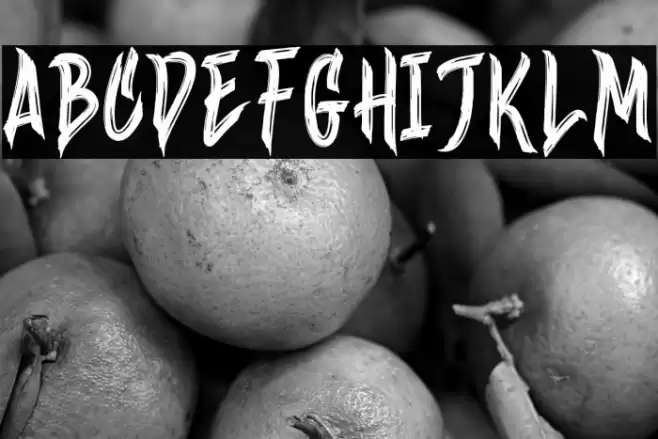 Wineer Brussh Font examples