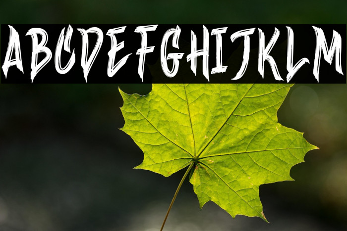 Wineer Brussh Example 3