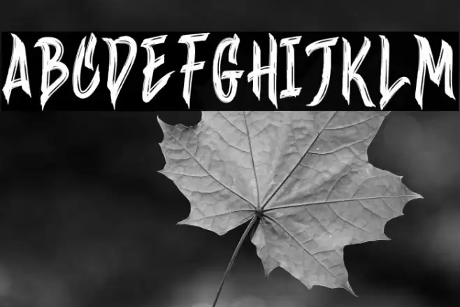 Wineer Brussh Font examples