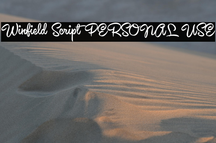 Winfield Script PERSONAL USE Example 1