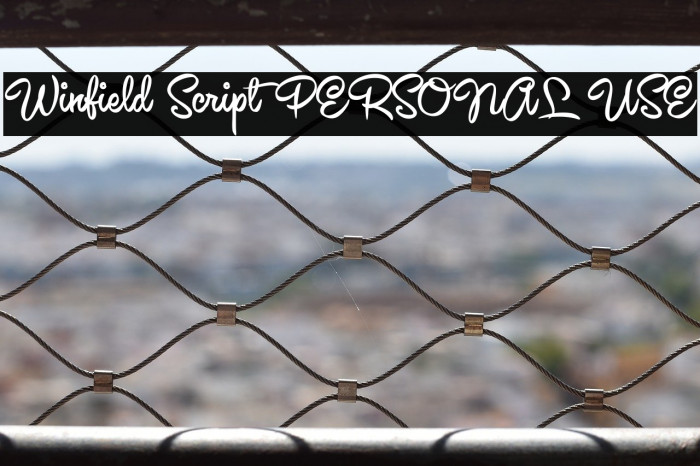 Winfield Script PERSONAL USE Example 2