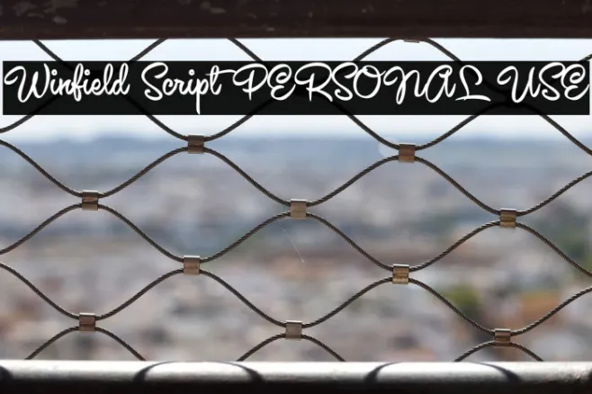 Winfield Script PERSONAL USE Example 2