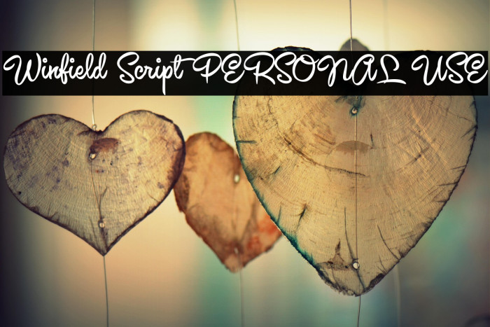 Winfield Script PERSONAL USE Example 3