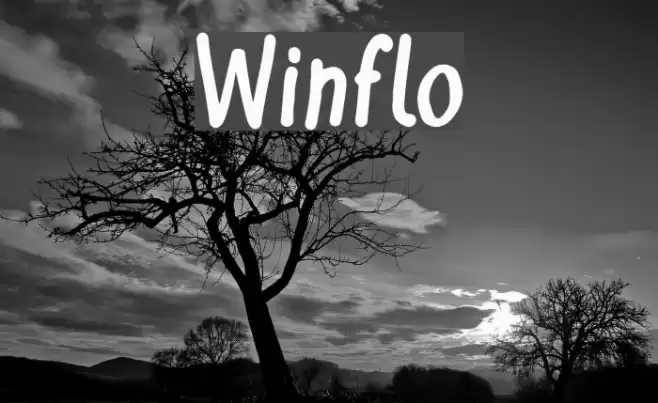 Winflo Font examples