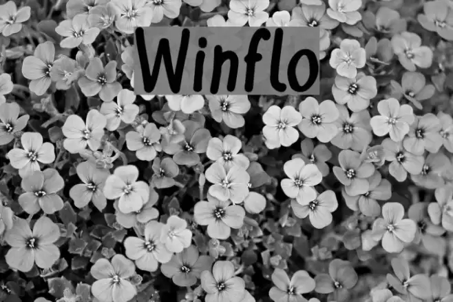 Winflo Font examples