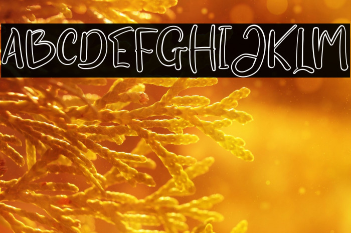 WingKitchenRegular Example 1