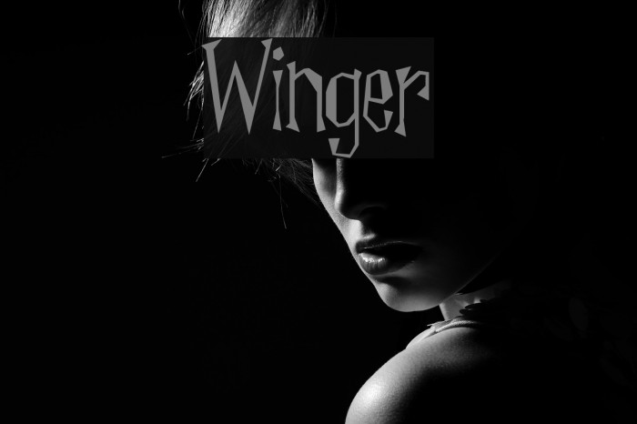 Winger Font examples