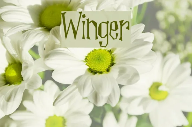 Winger Example 3