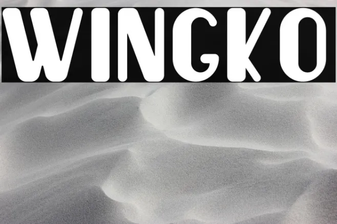 Wingko Example 1