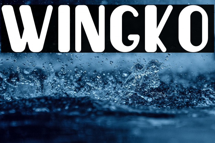 Wingko Example 2