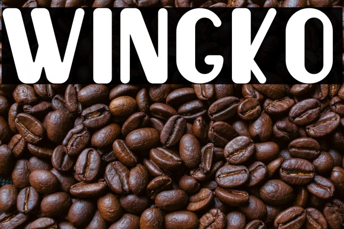 Wingko Example 3