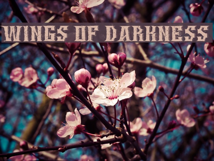 Wings of Darkness Font examples