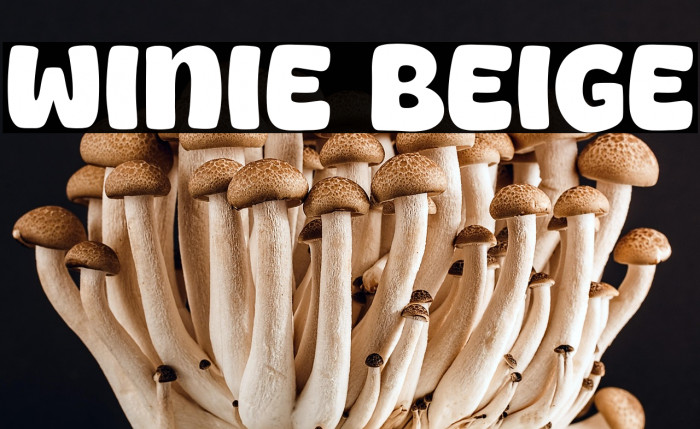 Winie Beige Example 2