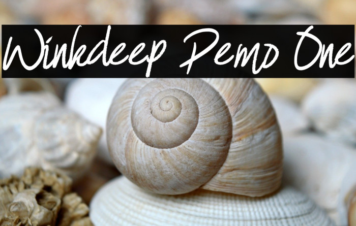 Winkdeep Demo One Example 1