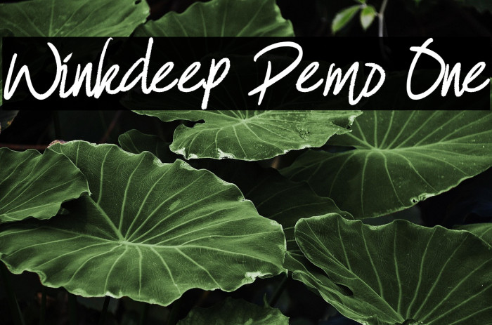 Winkdeep Demo One Example 3