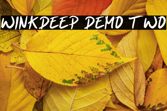 Winkdeep Demo Two Example 1