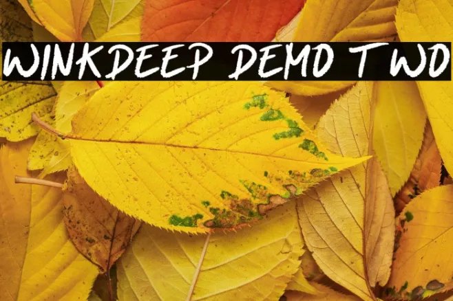 Winkdeep Demo Two Example 1
