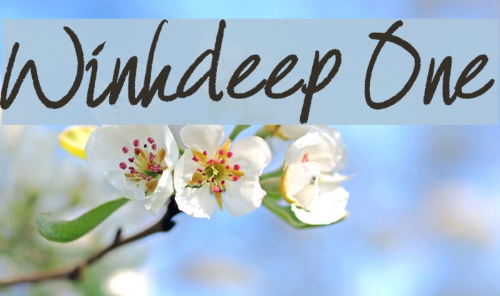 Winkdeep One Font examples