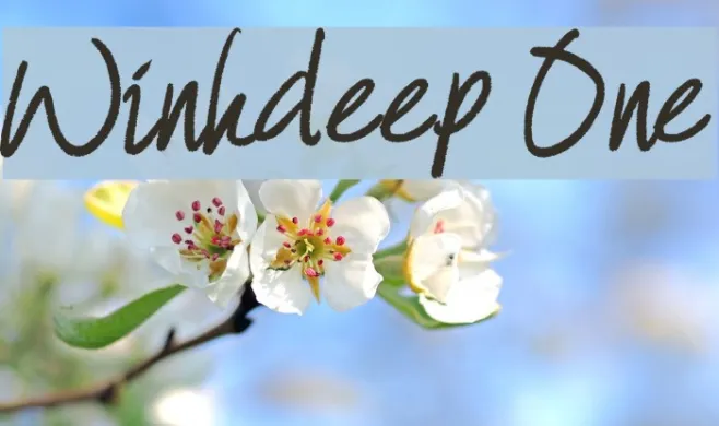 Winkdeep One Example 1