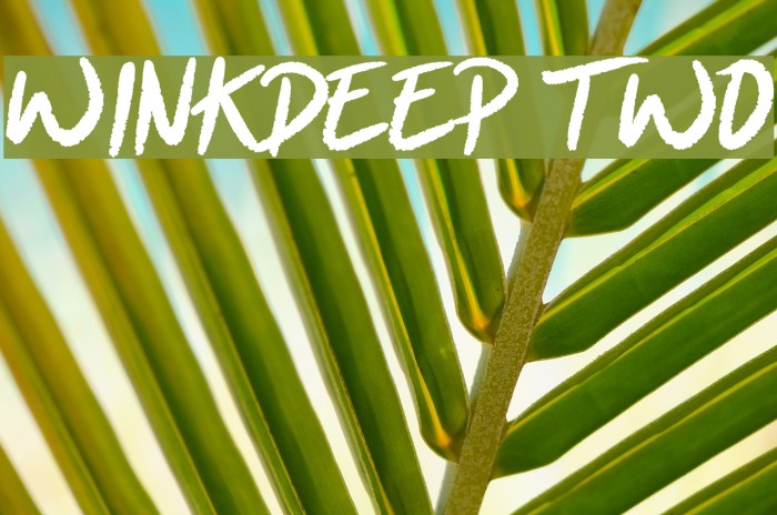 Winkdeep Two Font examples