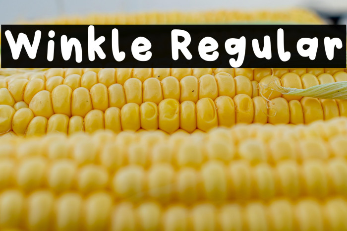 Winkle Regular Example 1