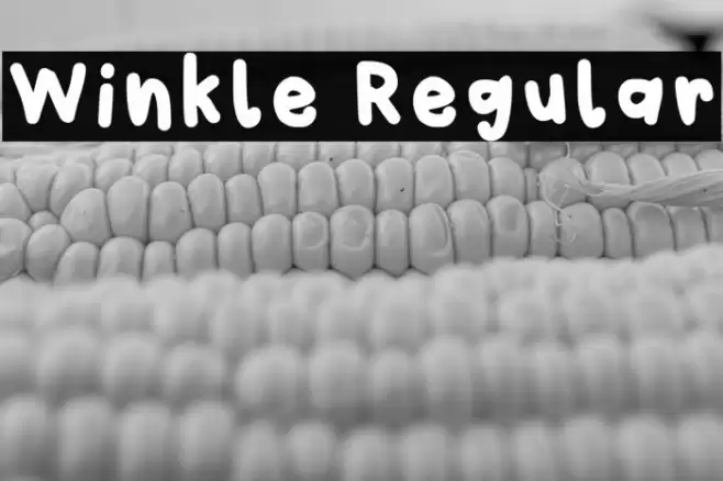 Winkle Regular Caratteri examples