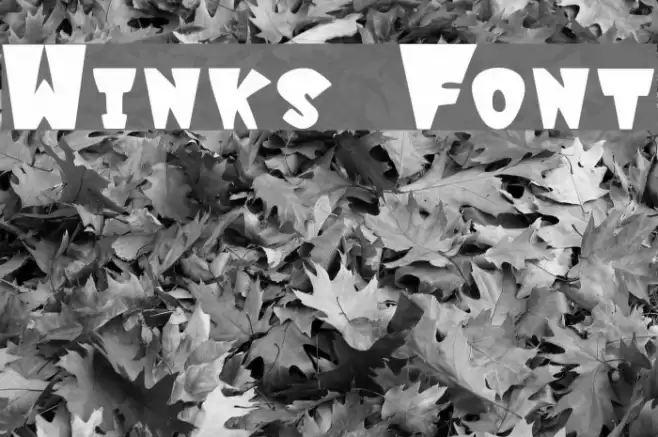 Winks Font examples