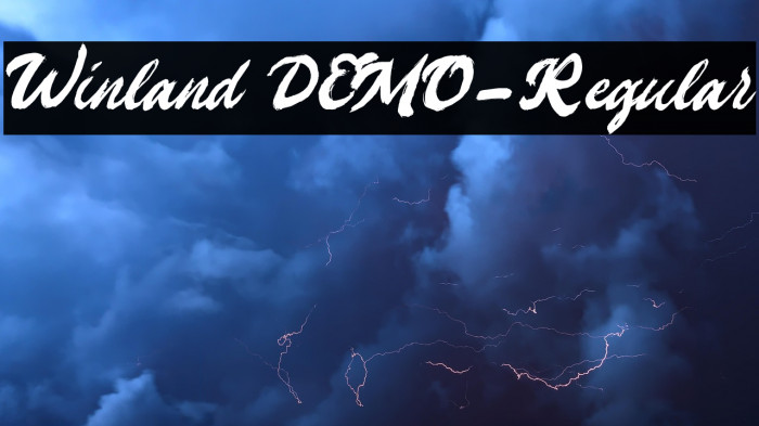 Winland DEMO-Regular Example 2