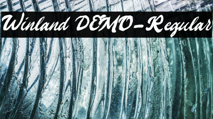Winland DEMO-Regular Example 3