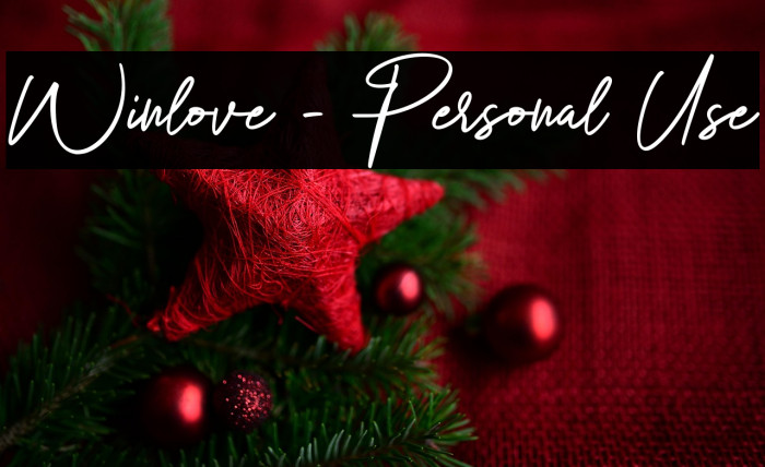 Winlove - Personal Use Example 3