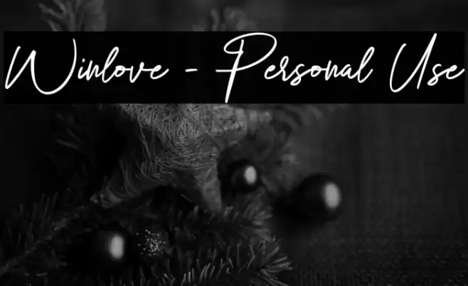 Winlove - Personal Use Font examples