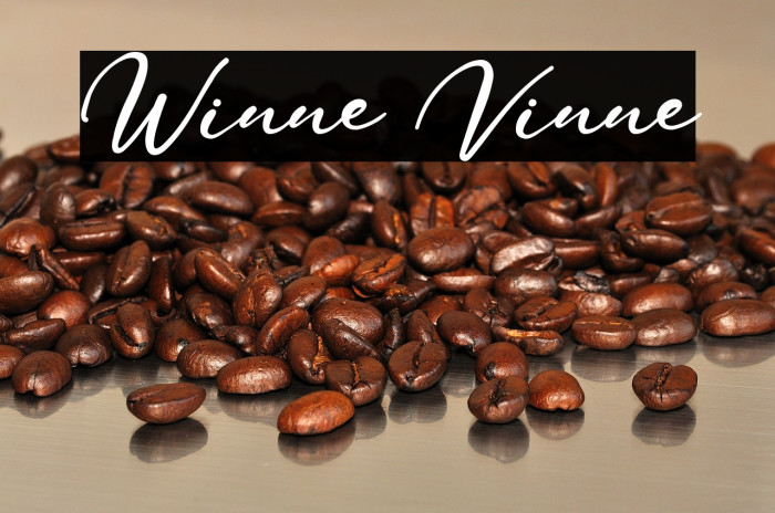 Winne Vinne Example 1