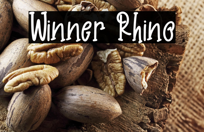 Winner Rhino Example 1