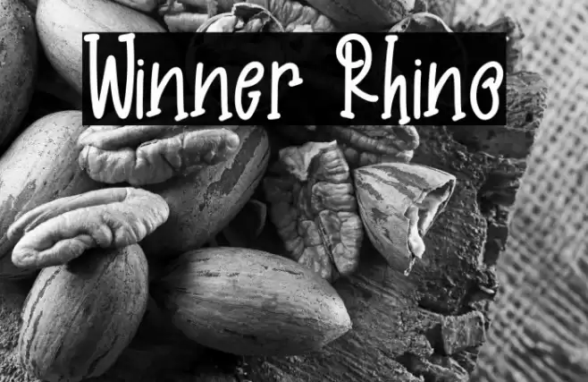 Winner Rhino Font examples