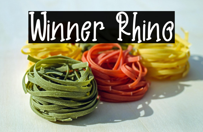 Winner Rhino Example 2