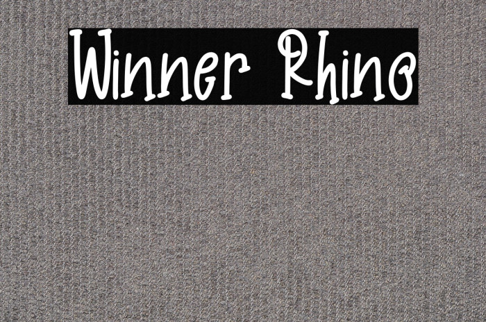 Winner Rhino Example 3