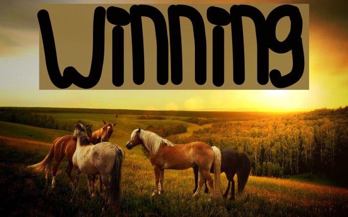 Winning Font examples