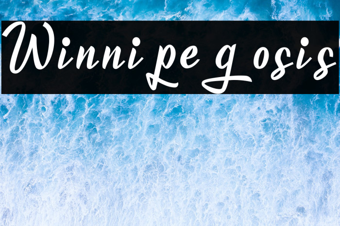 Winnipegosis Example 1