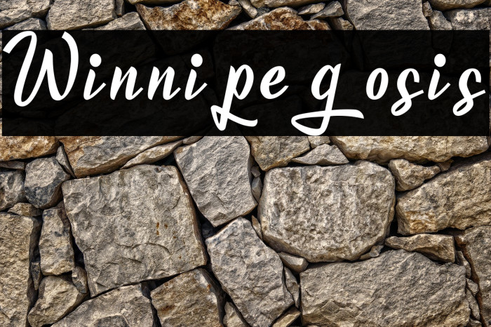 Winnipegosis Example 2