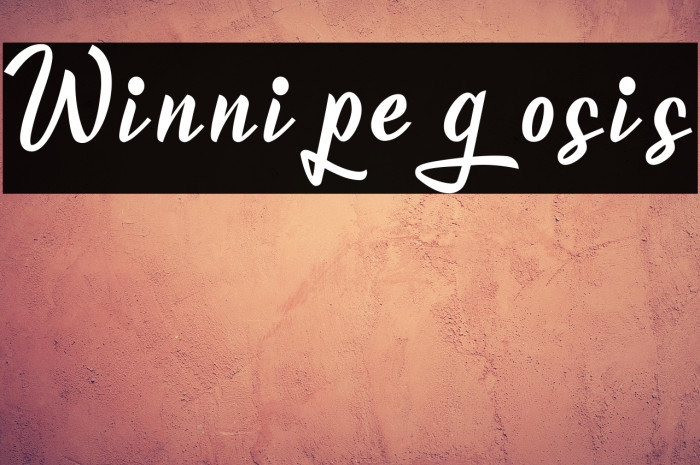 Winnipegosis Example 3