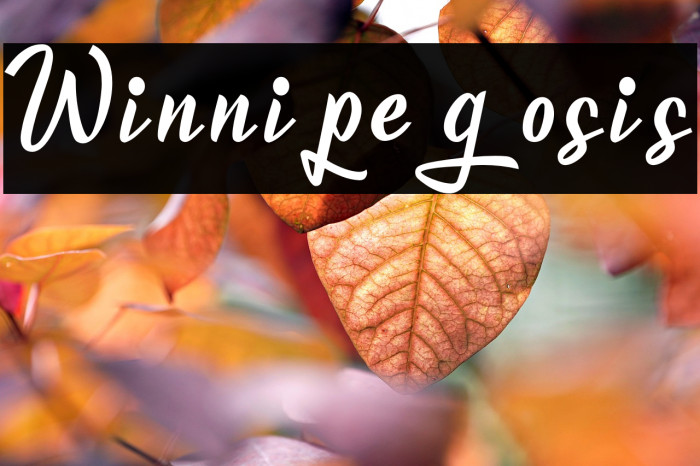 Winnipegosis Example 1